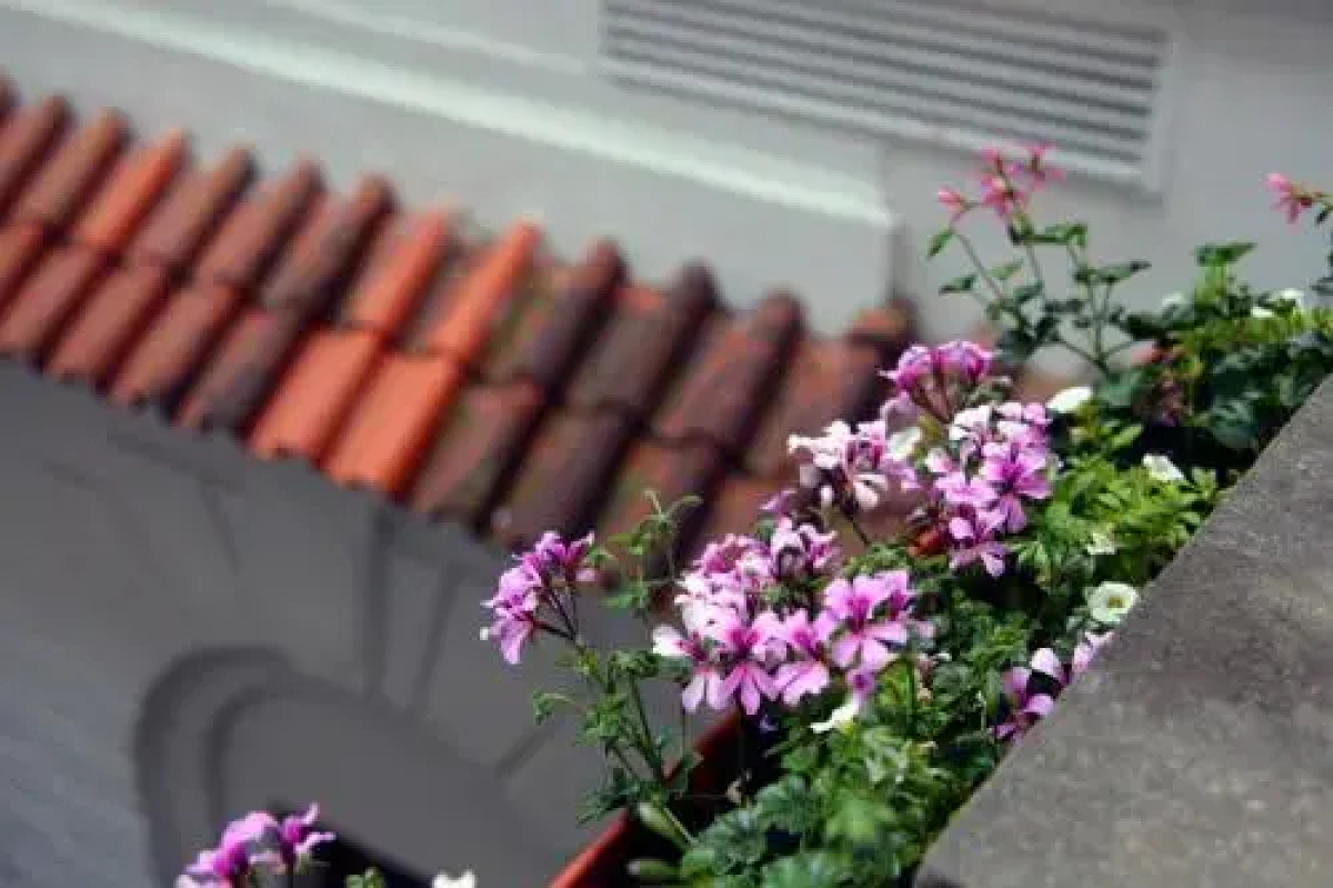 St Nicholas Residence