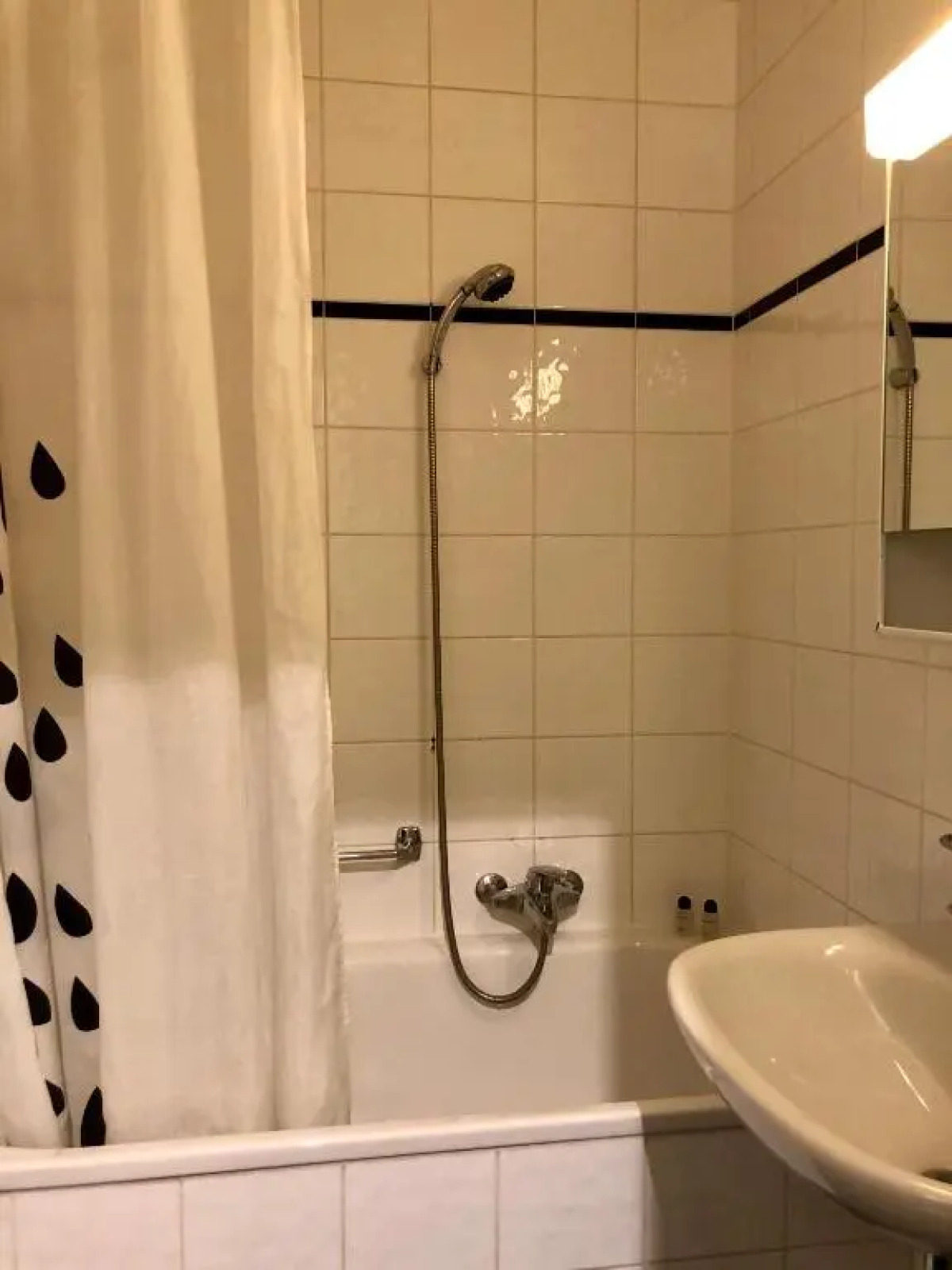 The Paquis Oasis in Central Geneva