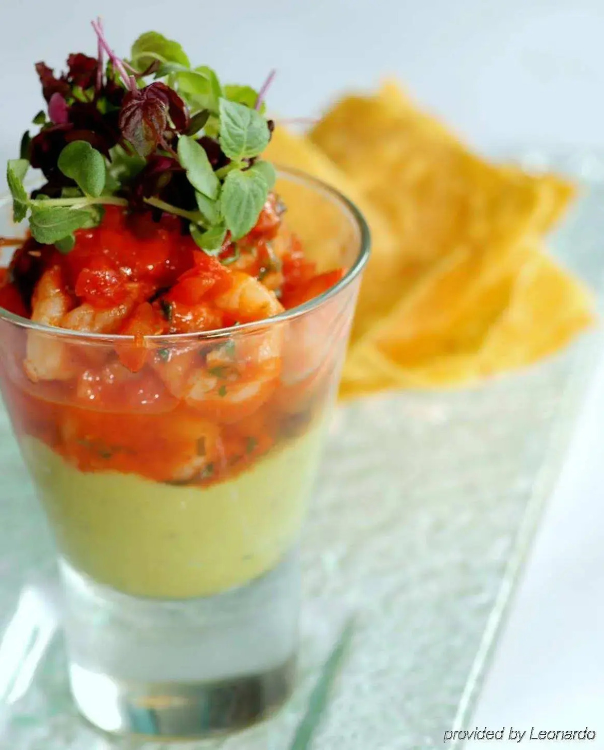 Catalonia Santo Domingo