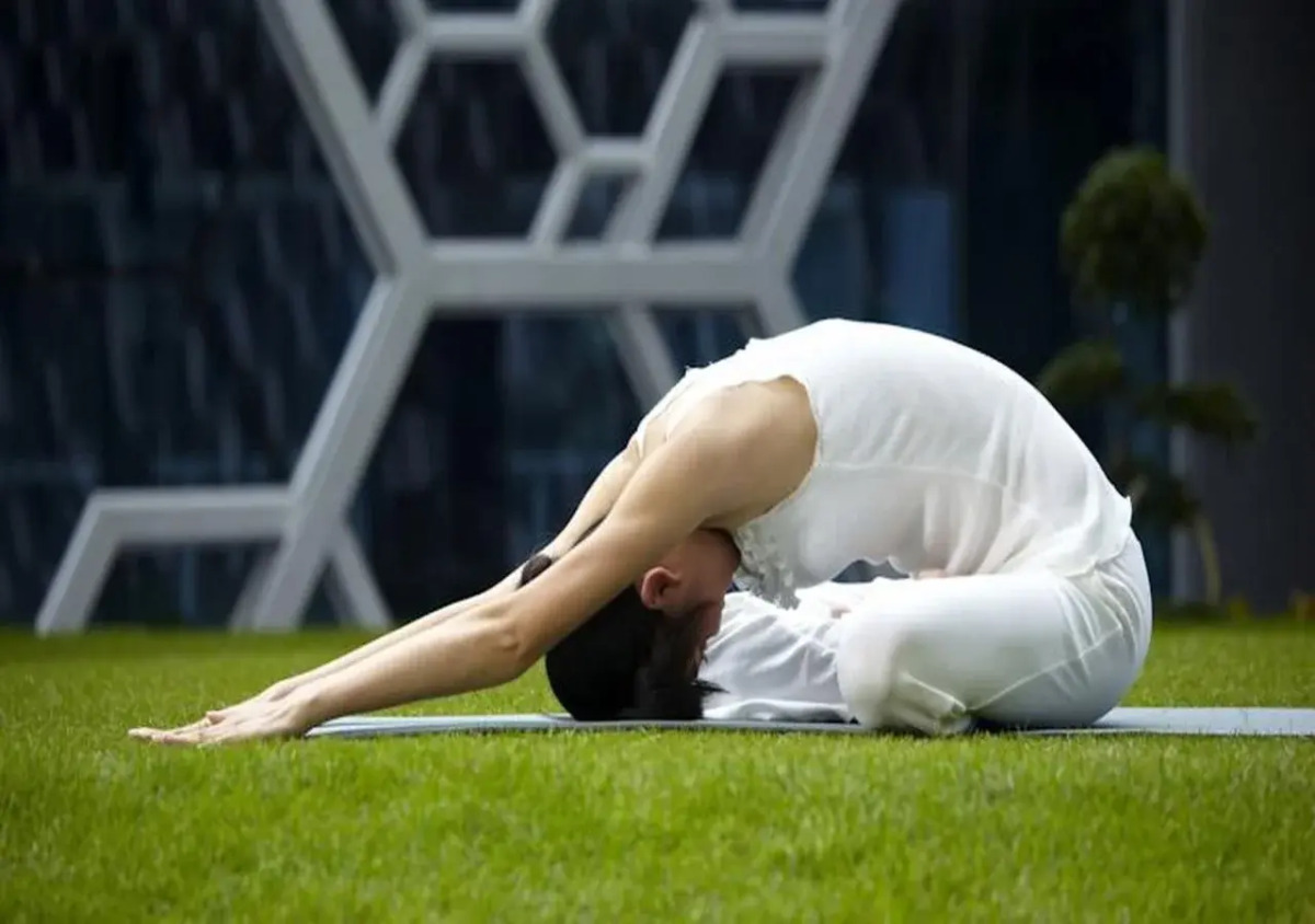 Sun Flower Hotel and Residence