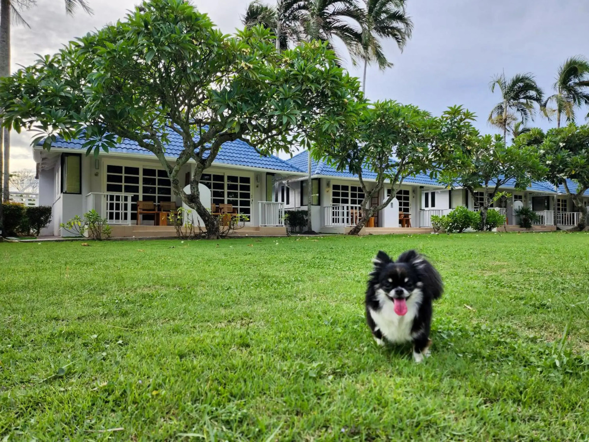Отель Bandara On Sea