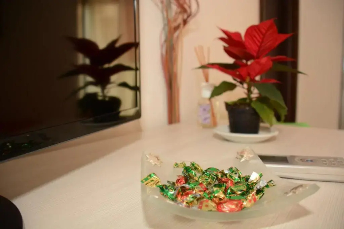 Bed and Breakfast Opera