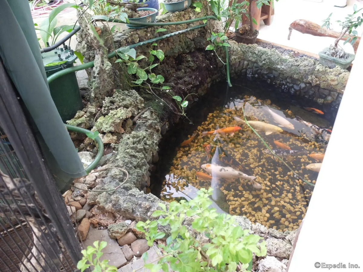 Argonauta Boracay Boutique Hotel with Apartments and Villas