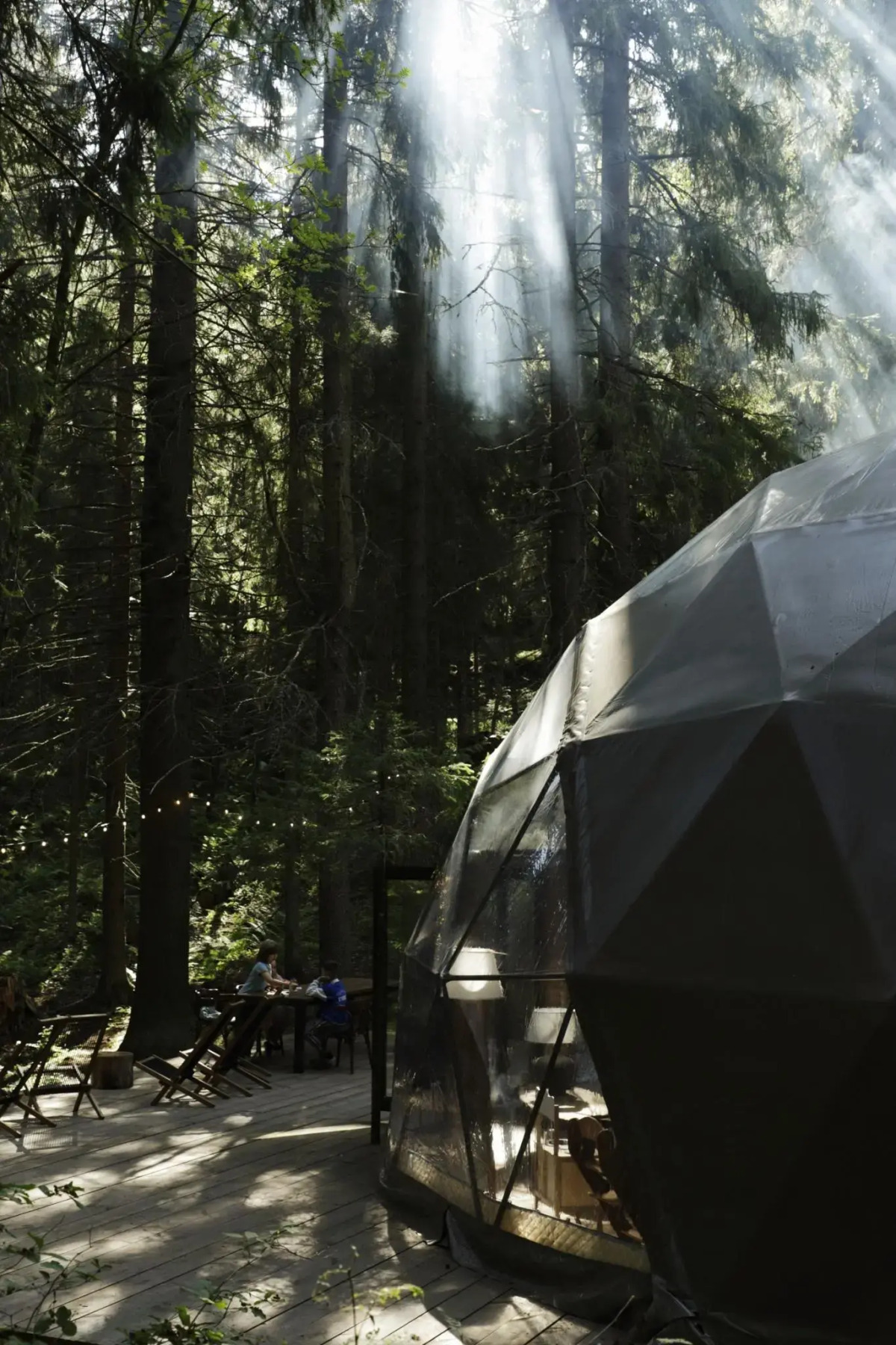 Вили Улей Карелия