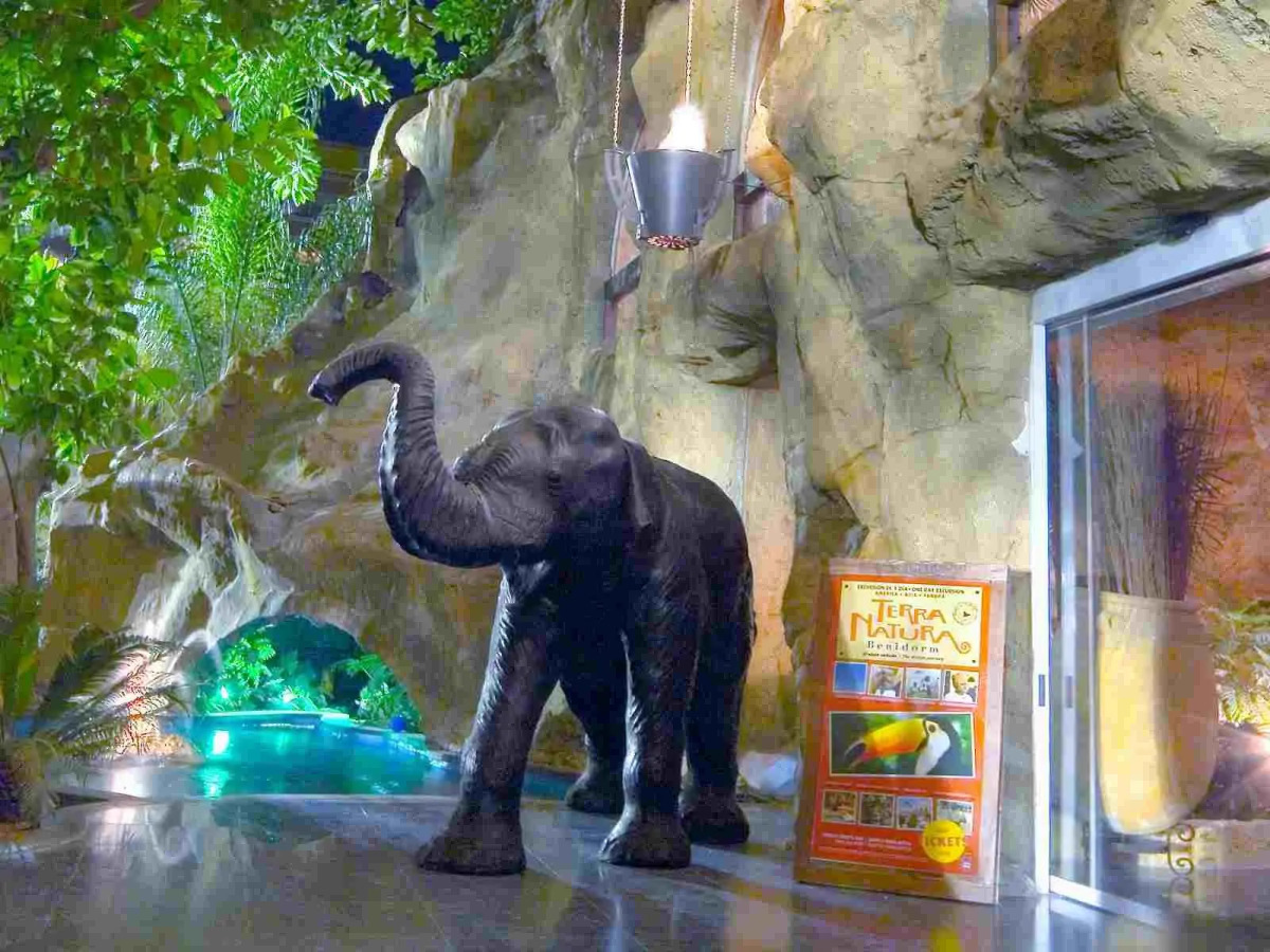 Magic Aqua Rock Gardens