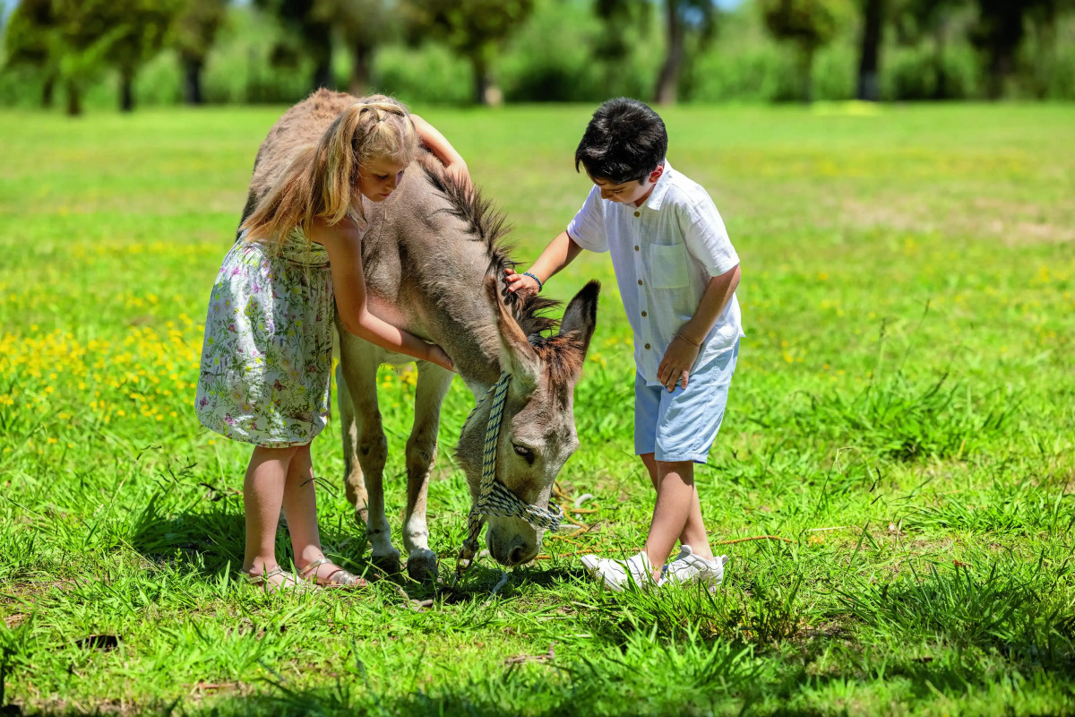 Апарт-отель Grecotel Luxme Costa Botanica