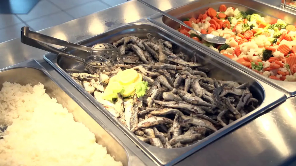 Sagitta All inclusive light