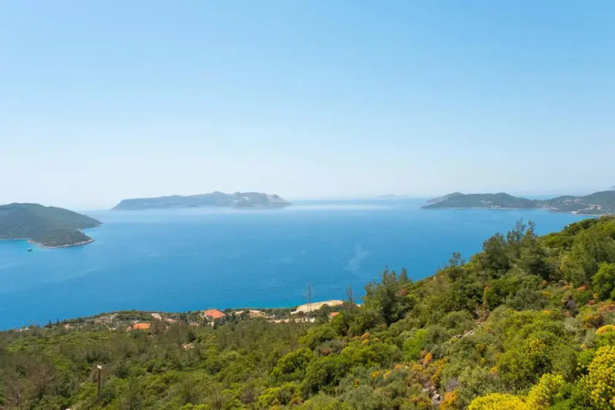 Golden Rose Suit Pension