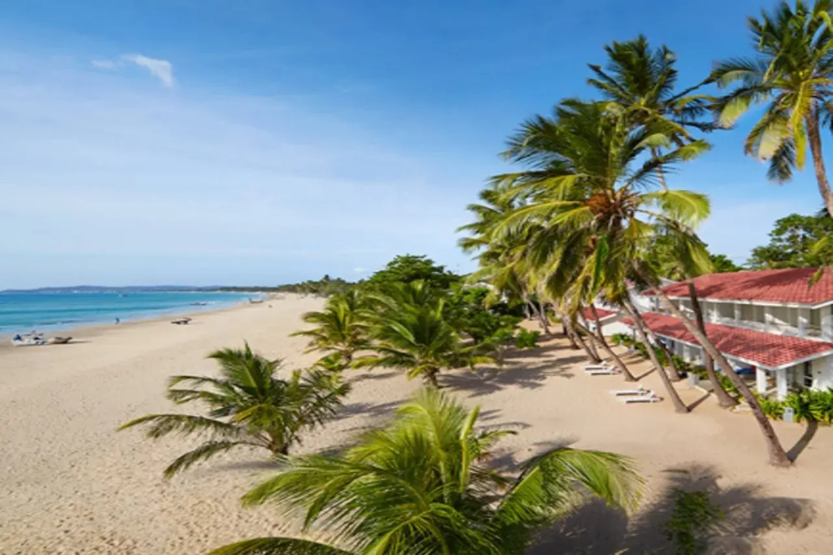 Trinco Blu by Cinnamon