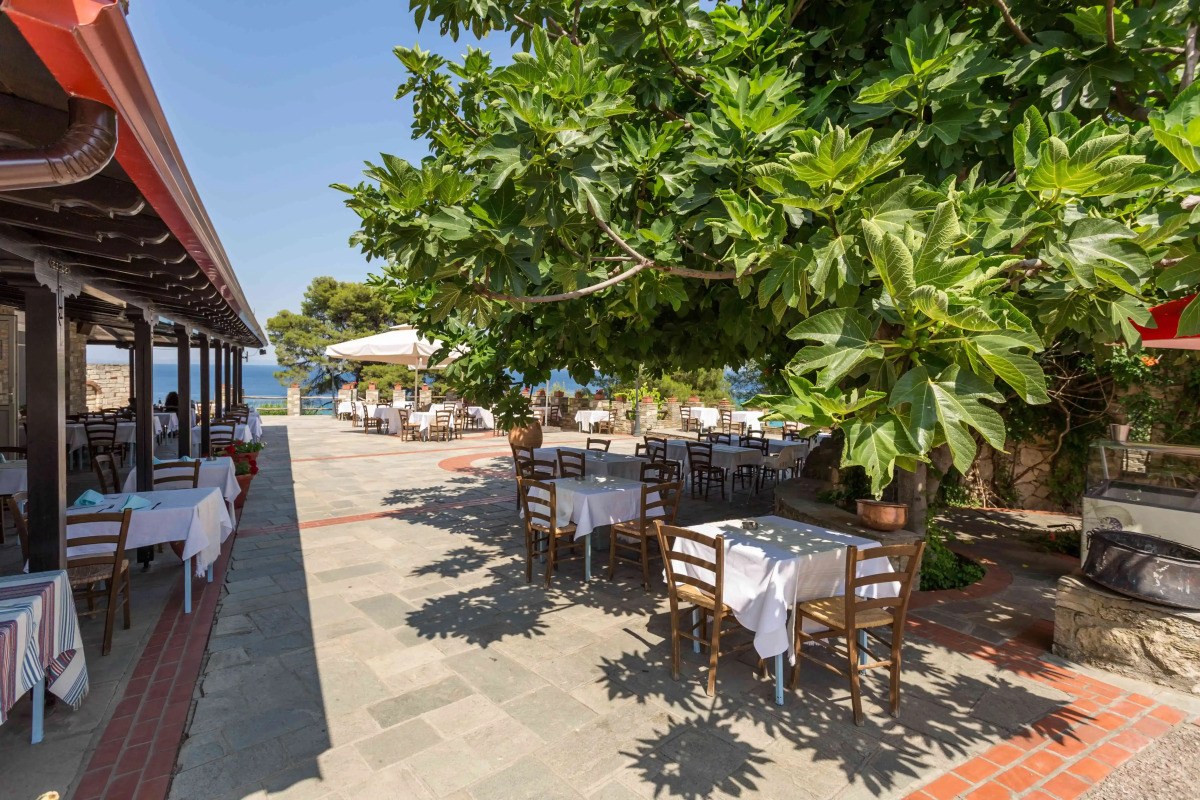 Отель Mitsis Alexander the Great