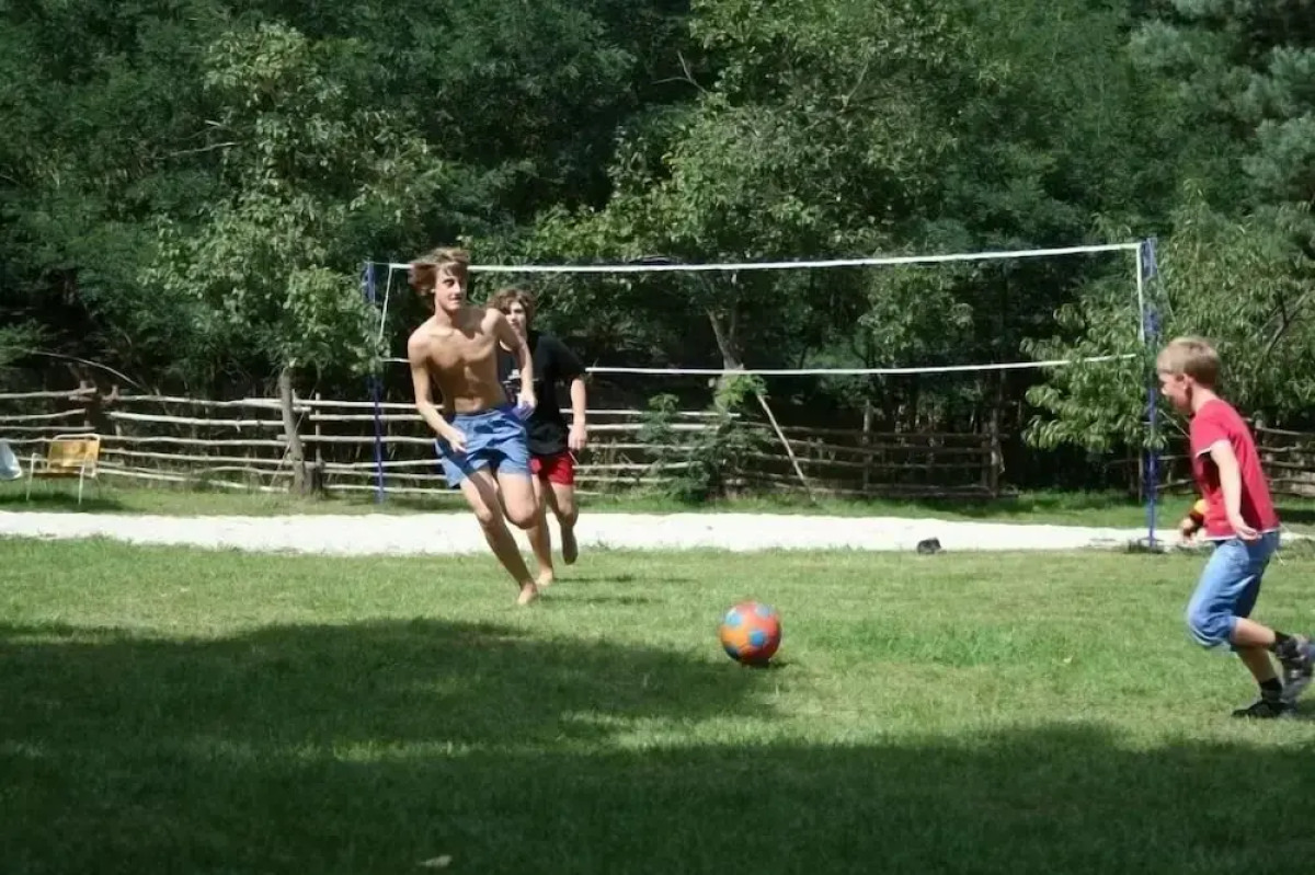 Ferienparadies Waldidylle