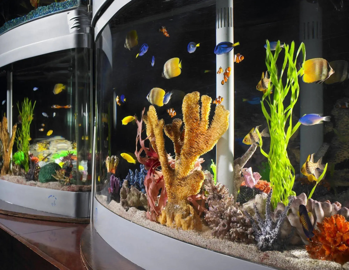 Anaheim Majestic Garden Hotel