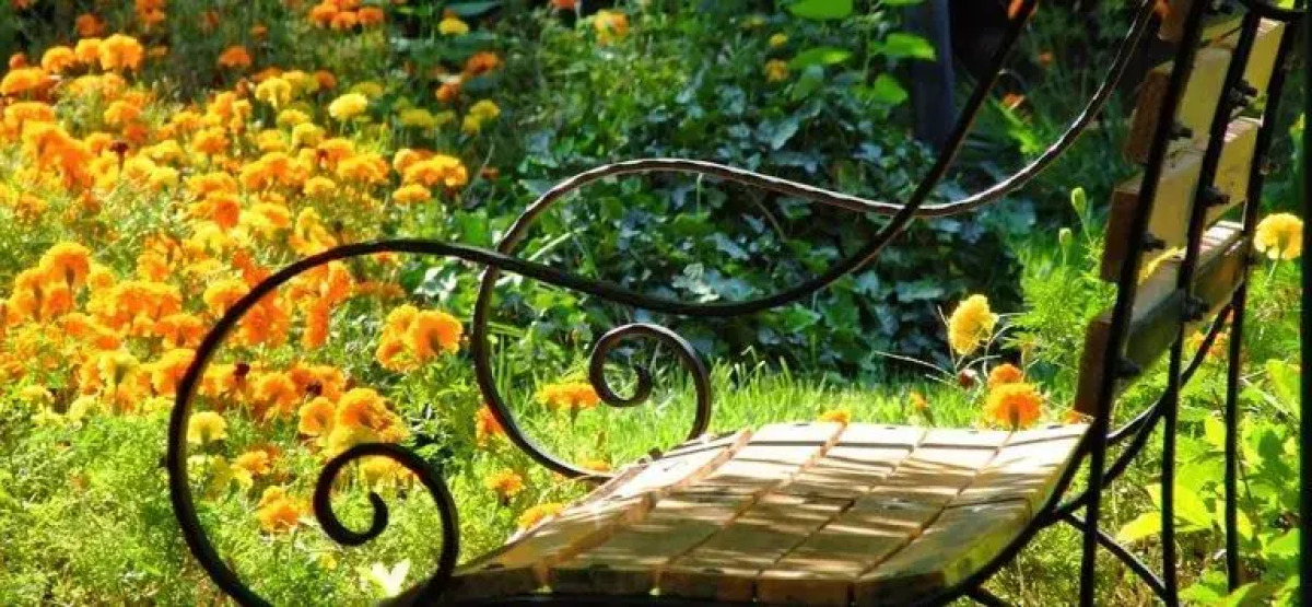 Sunshine Magnolia & Spa