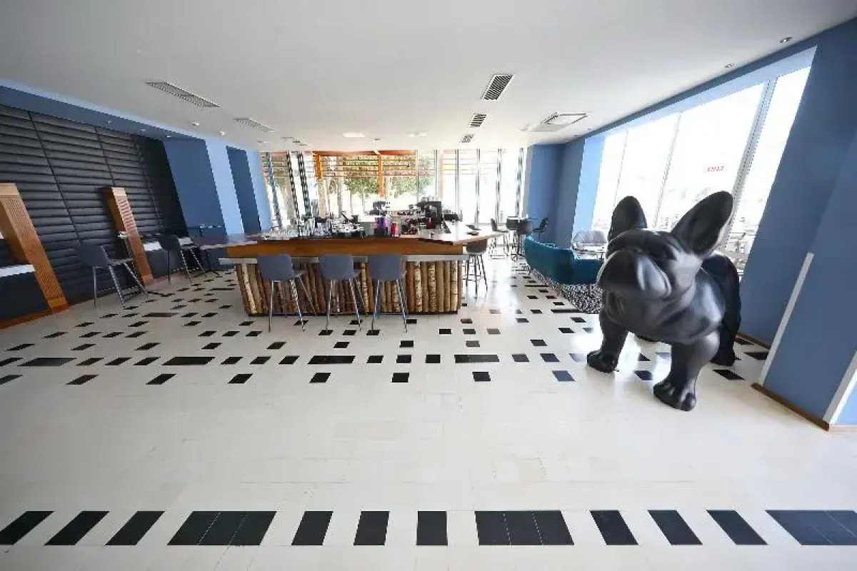 Falkensteiner Club Funimation Borik