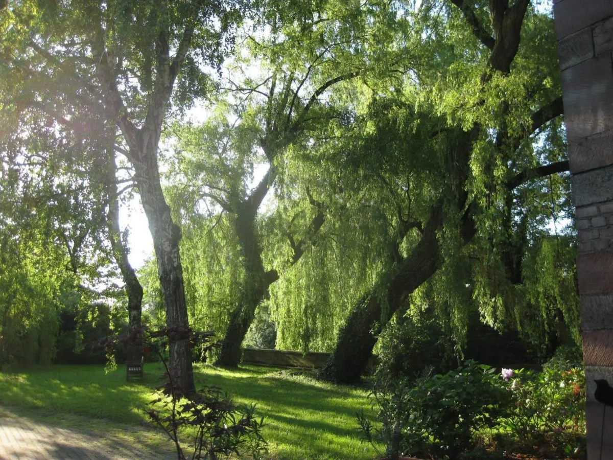 Hotel Spa Le Moulin de la Wantzenau