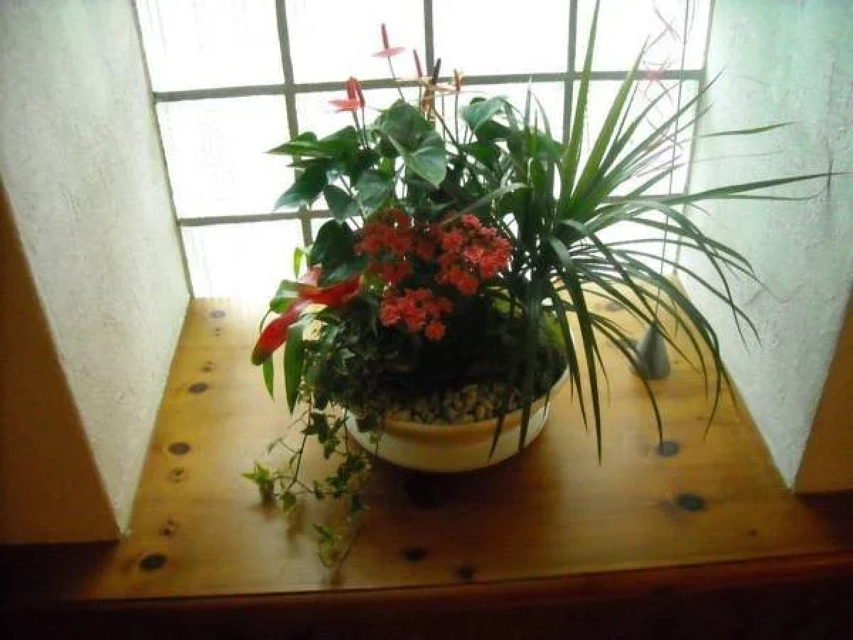 Hotel Garni Ursalina