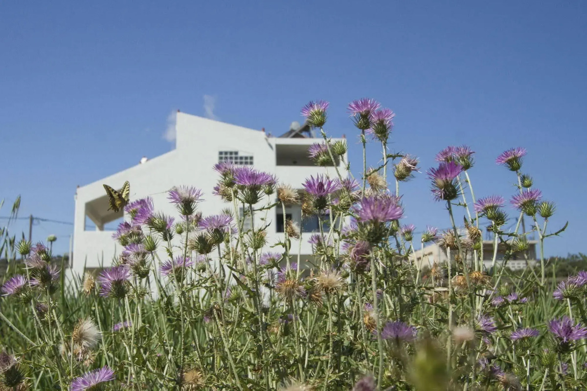 Olive Tree Apartments