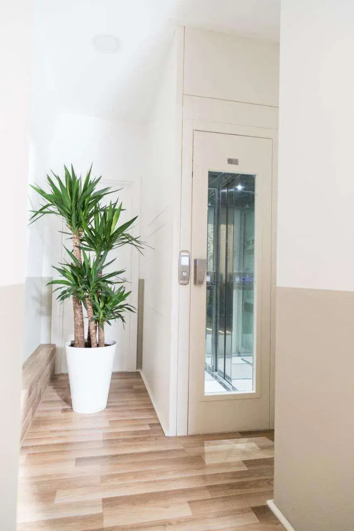 Palazzo Massari Rooms