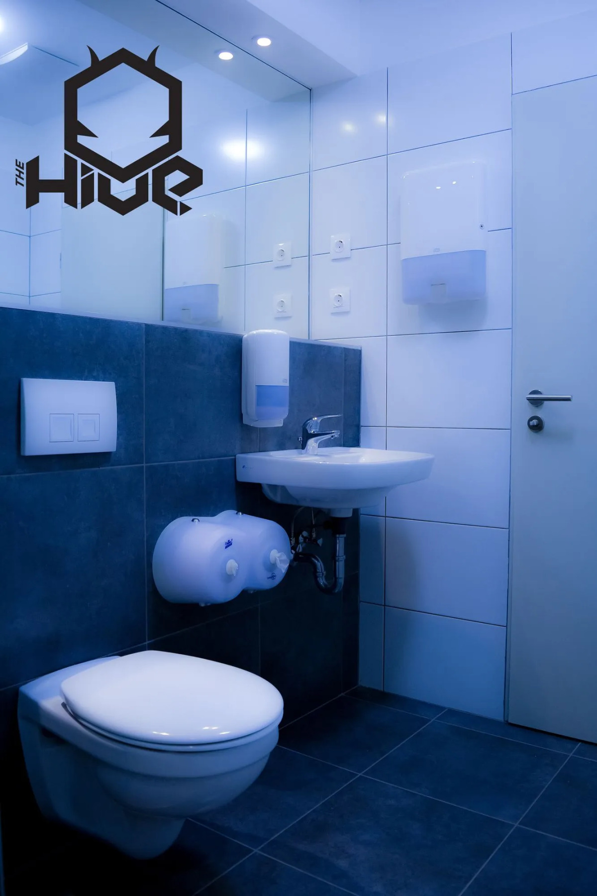 The Hive Party Hostel