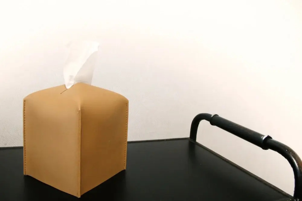 Mt Seorak the East Sea and Hot spring