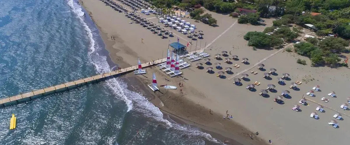 Отель XL Hotels