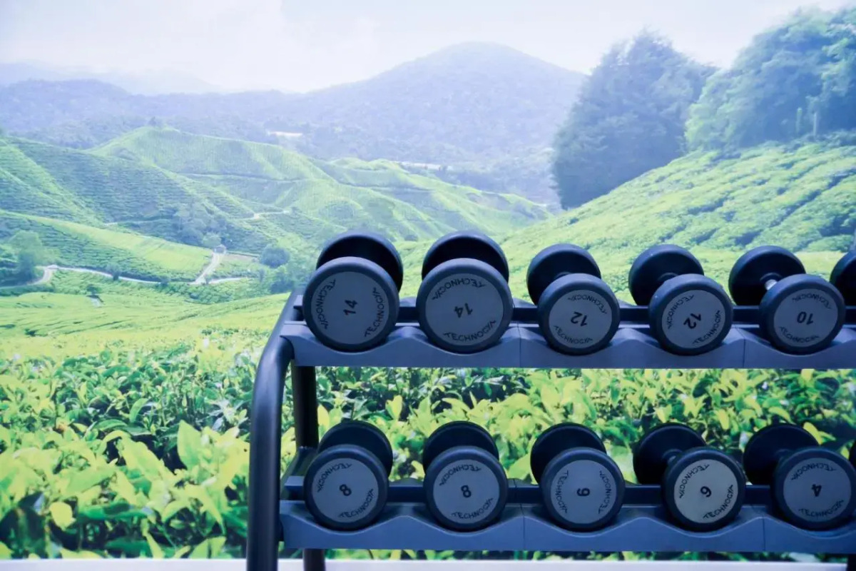 Sercotel Amistad Murcia