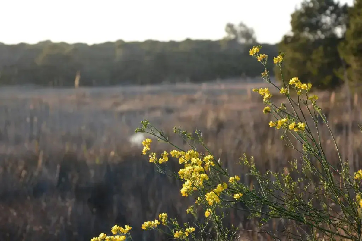 You & Co. Saler Beach Boutique Hotel