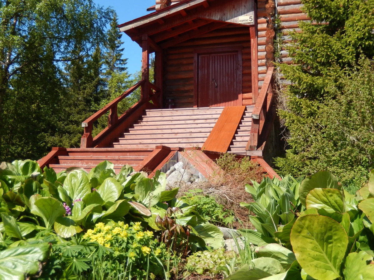 Соловки-отель