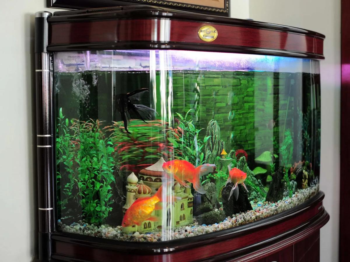 HANZ Sunny 2 Hotel Hanoi