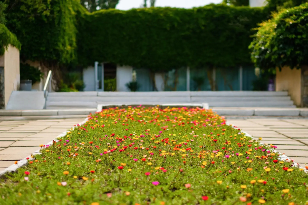 Крымское Приазовье