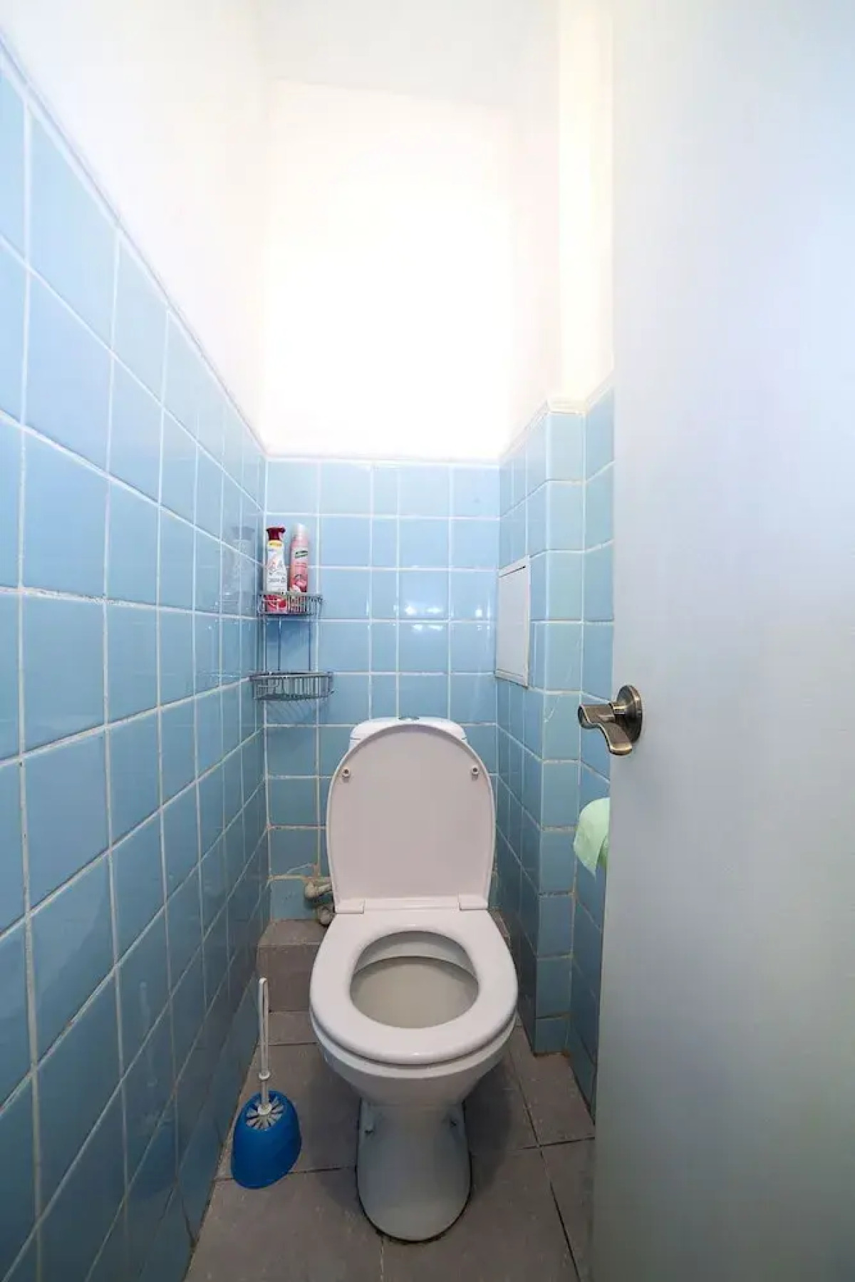 Смоленские