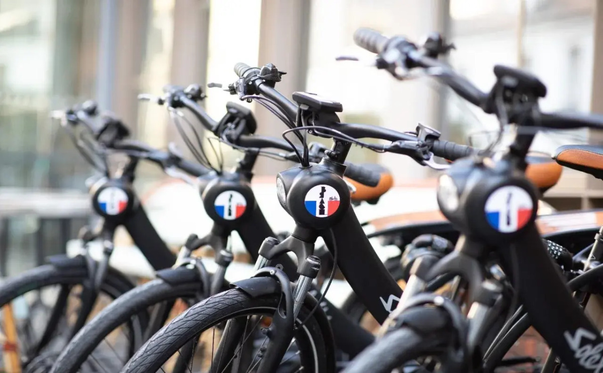 Brach Paris - Evok Collection