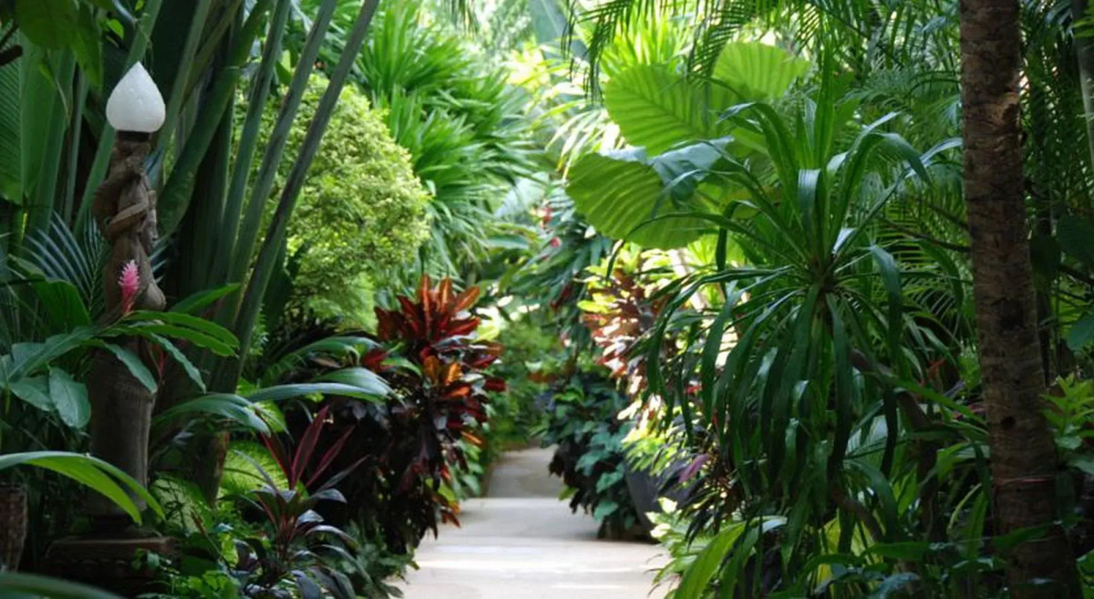 White House Beach Resort And Spa