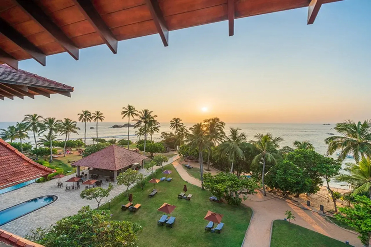 Hikka Tranz by Cinnamon