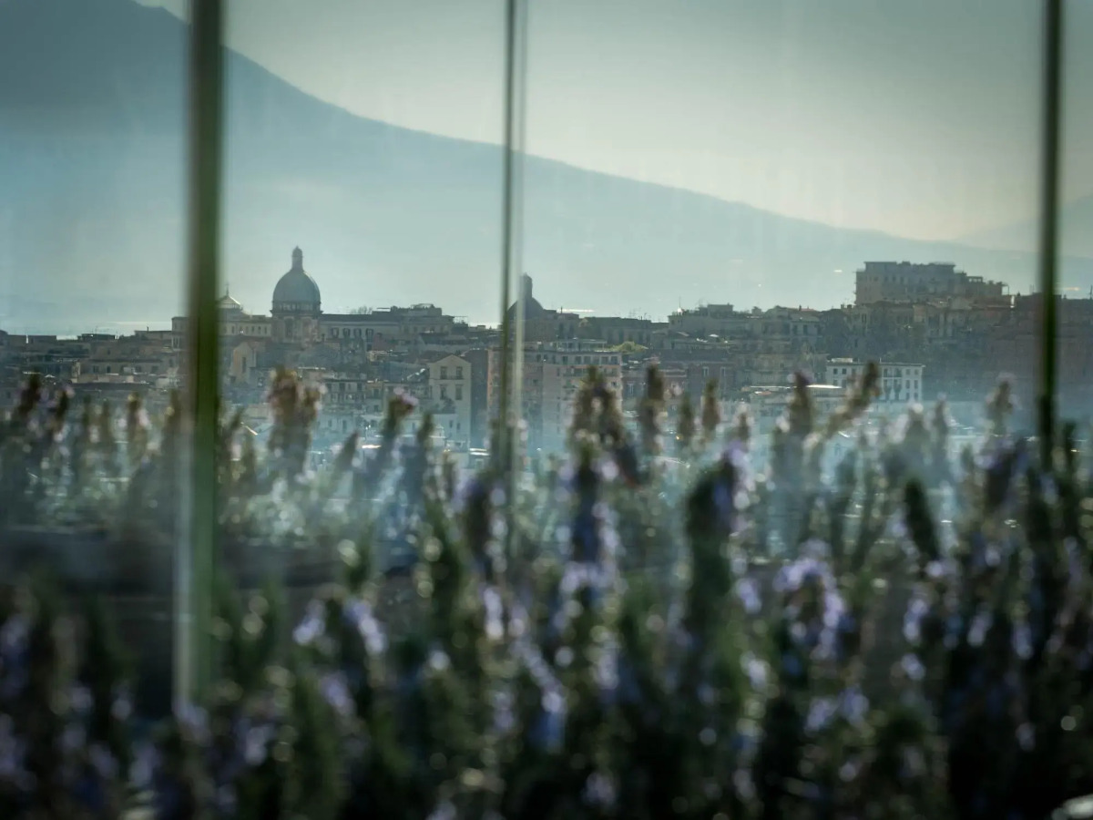 De Bonart Naples, Curio Collection by Hilton