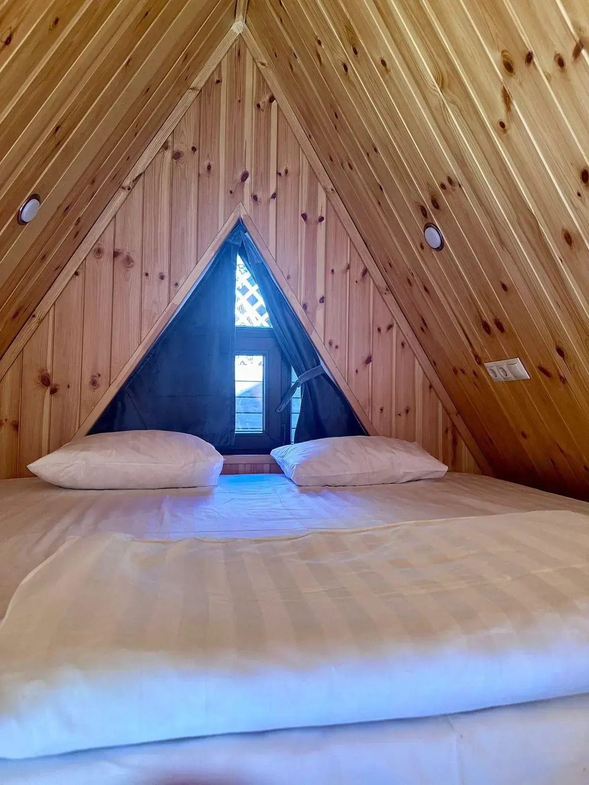 Шале Долина Нарзанов