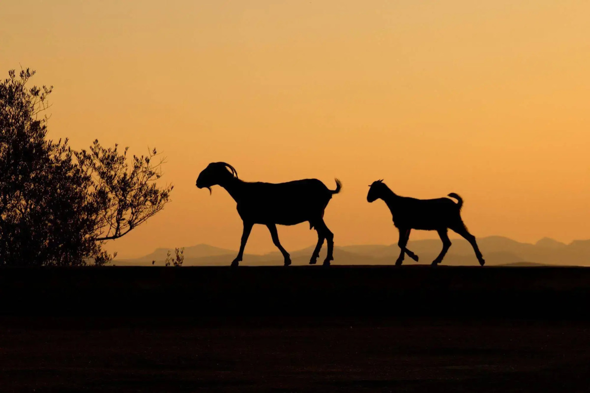 Sant Salvador Hostatgeria