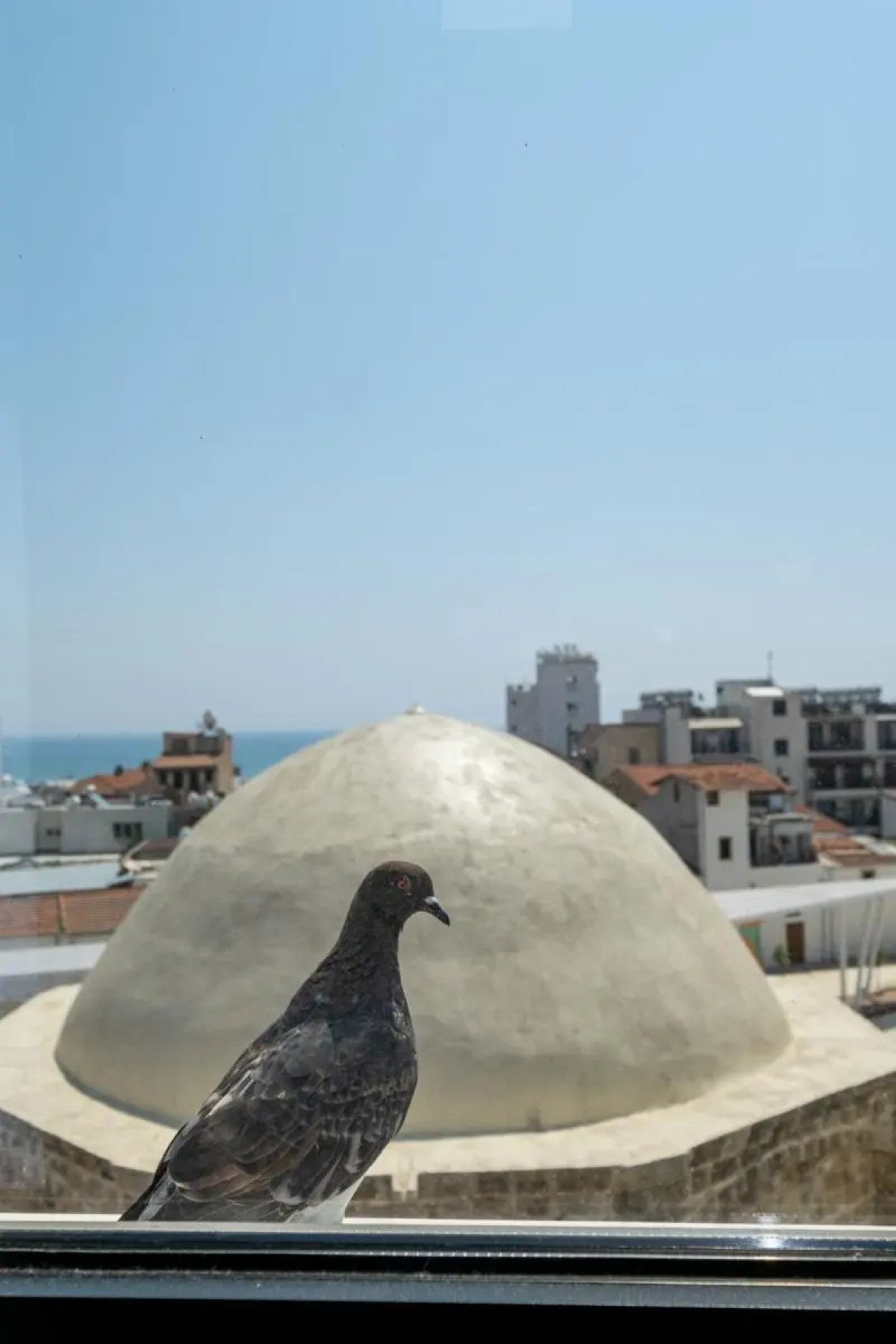 Livadhiotis City Hotel