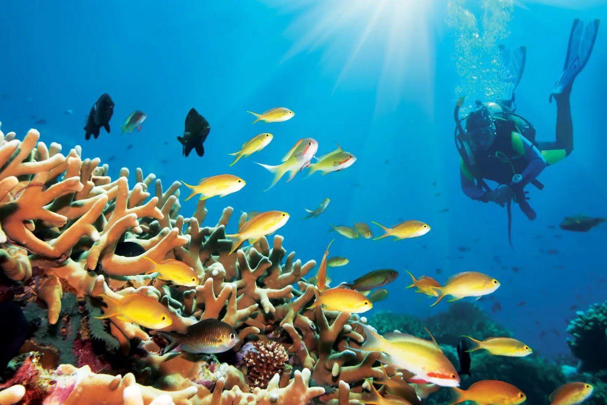 Jalsa Beach Hotel & Spa