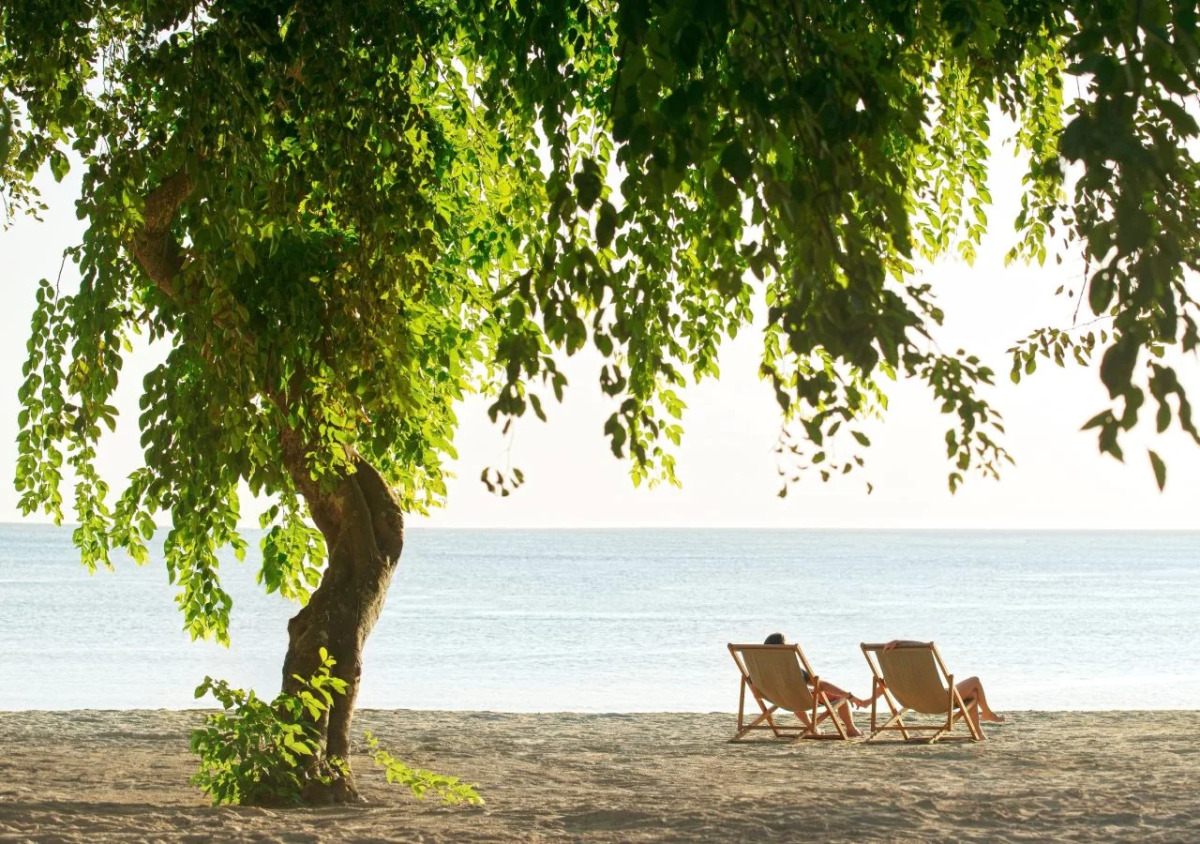 The Ravenala Attitude