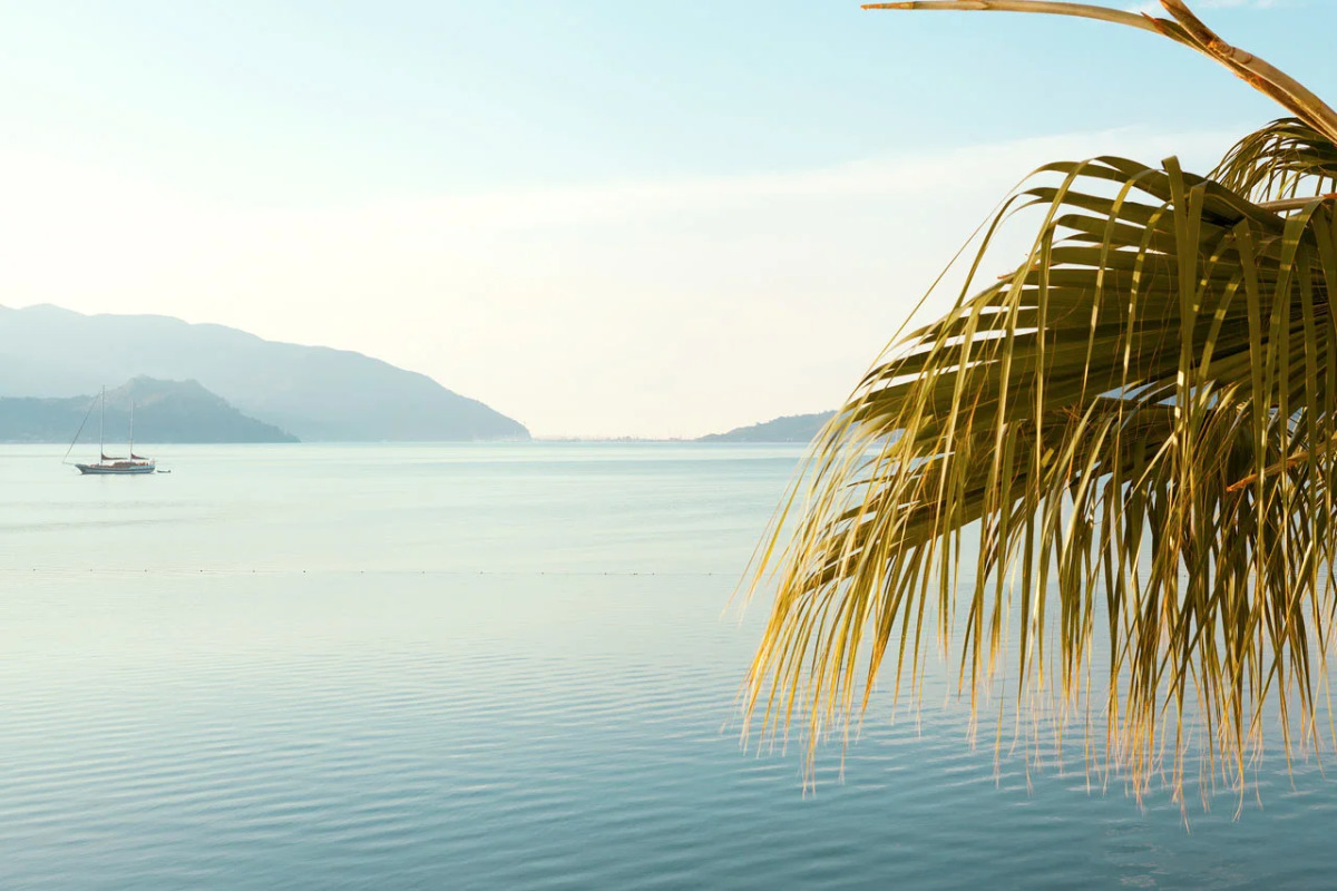 The Beachfront Hotel Adult Only 16 Plus