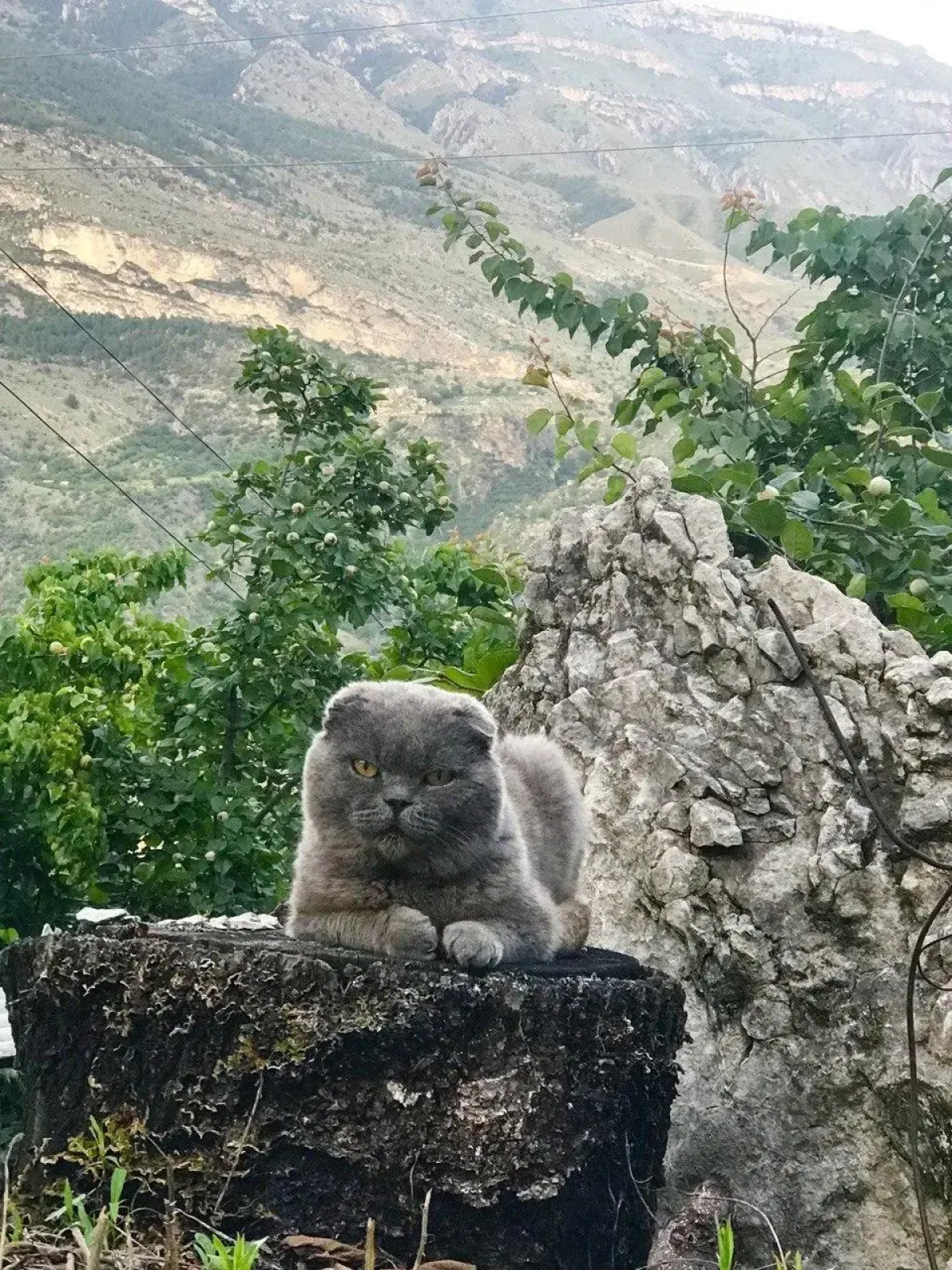 Родное гнездо