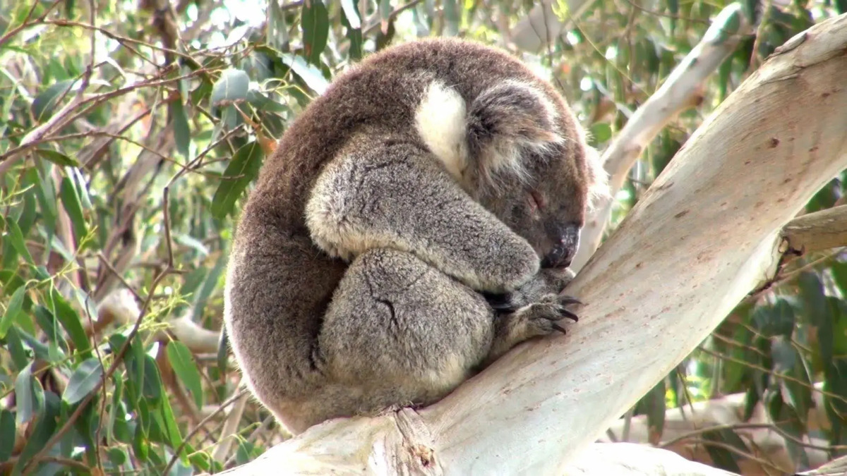 The Open House - Bed & Breakfast