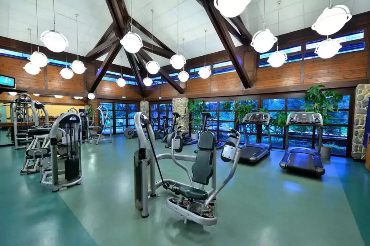 Disney Sequoia Lodge