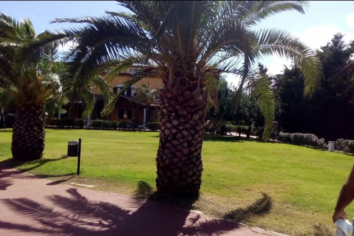 Отель Club Le Rose