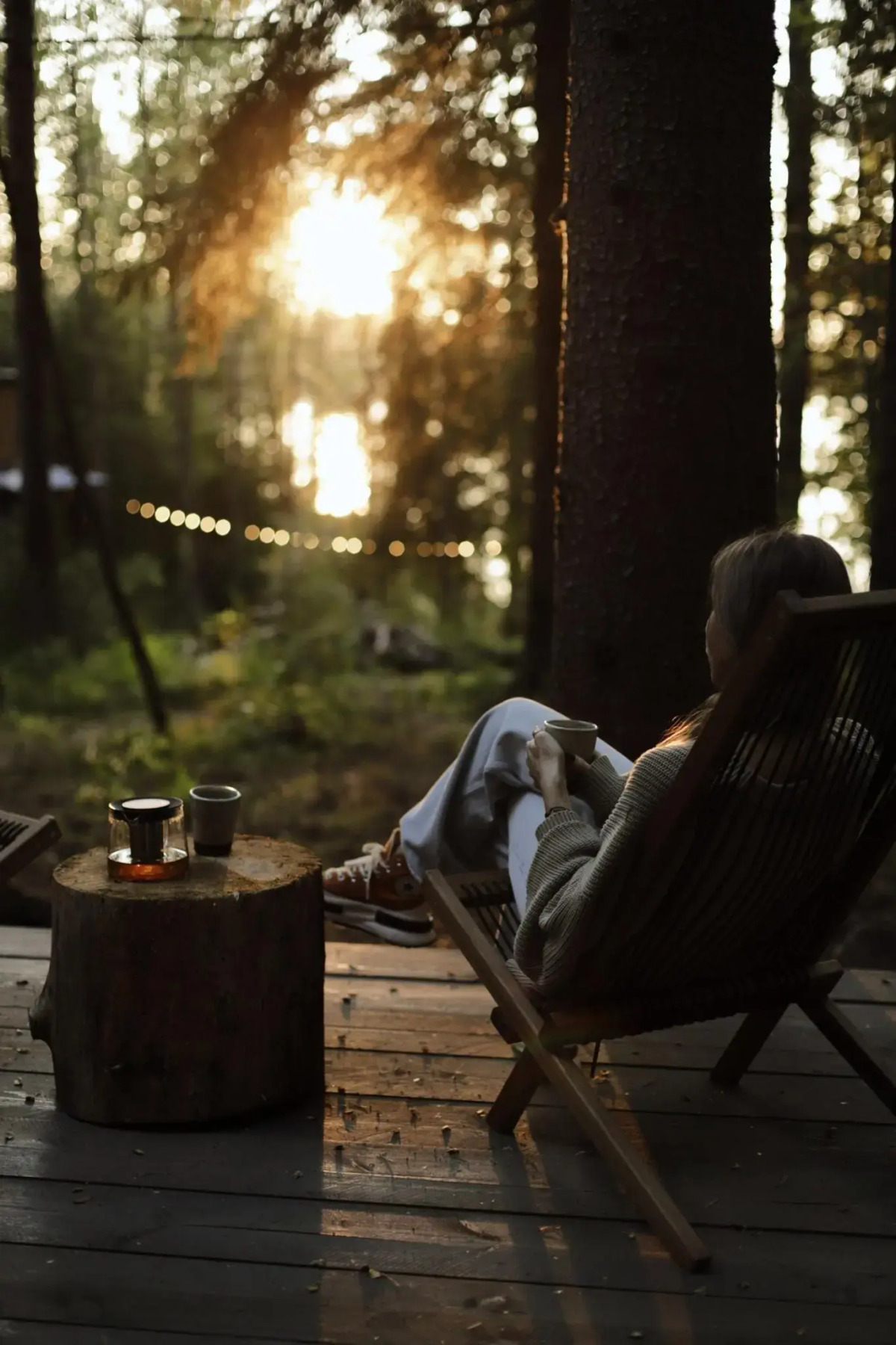 Вили Улей Карелия