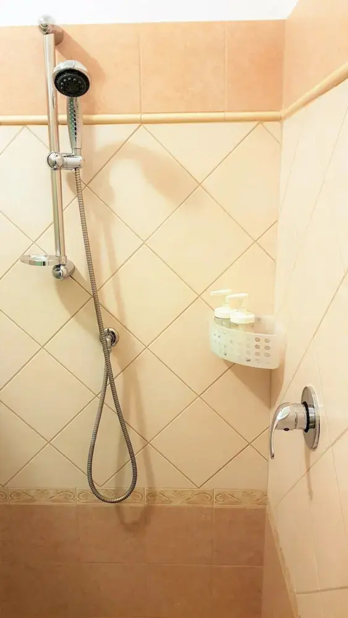 Dodo Holiday in Rome