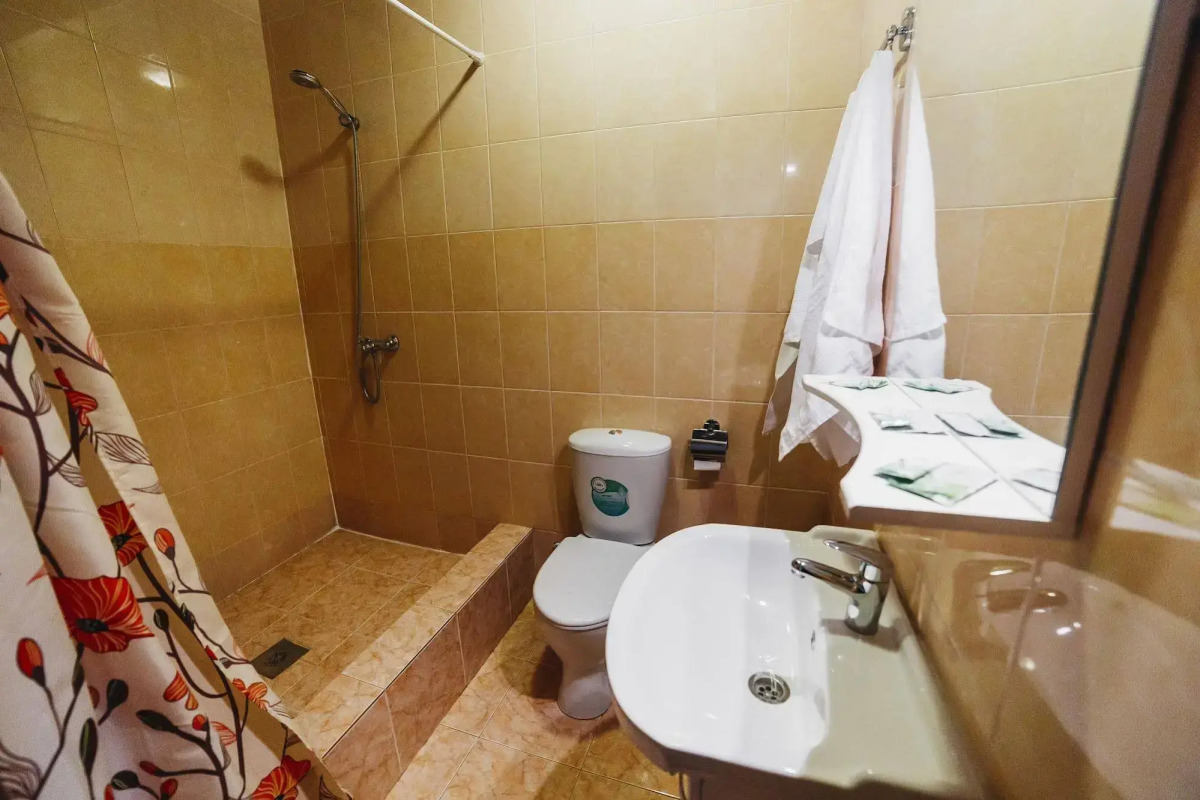 Ноев Ковчег