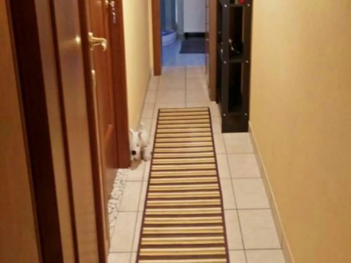 BB Stazione Centrale