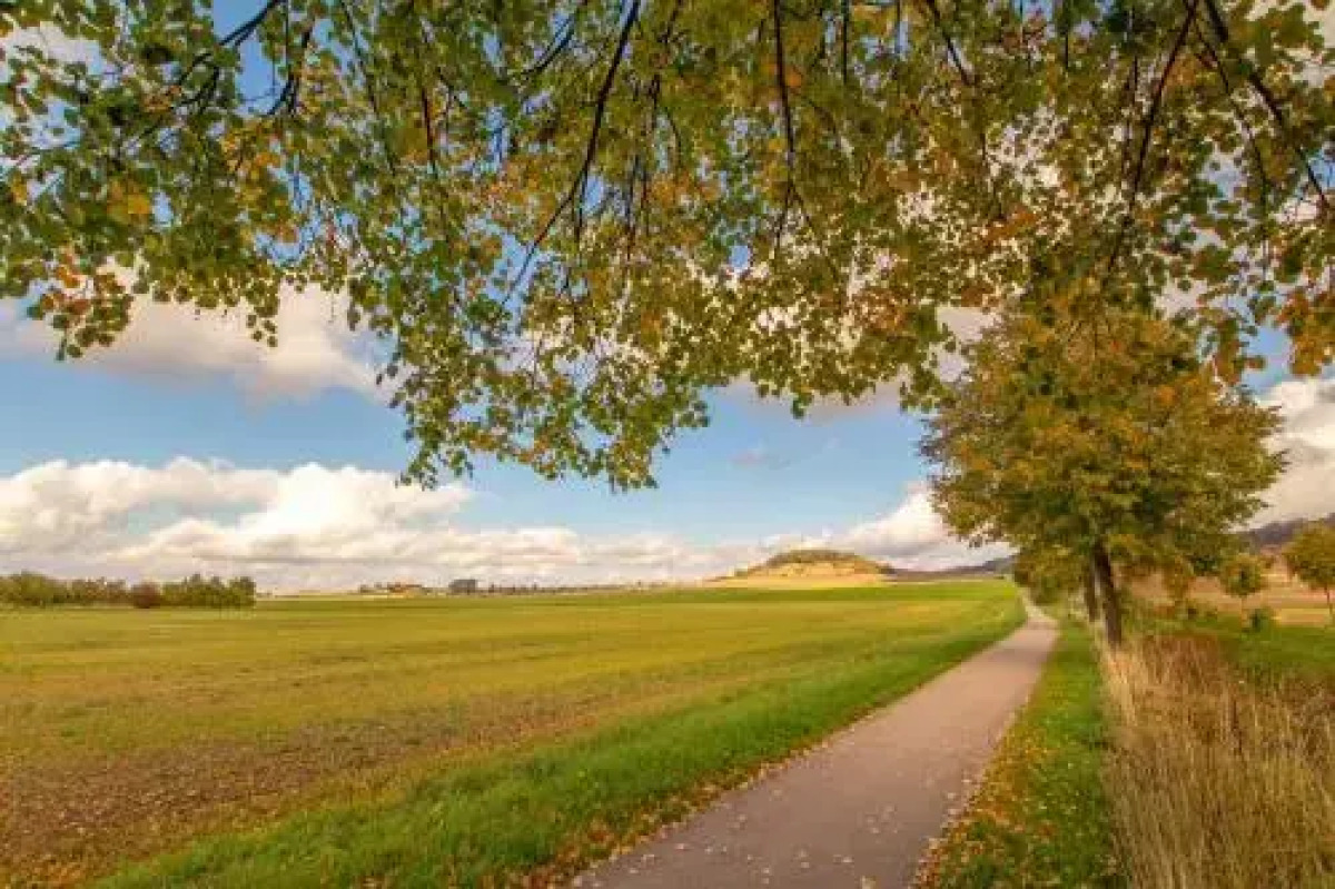 Landhaus Biewald - Hotel & Restaurant